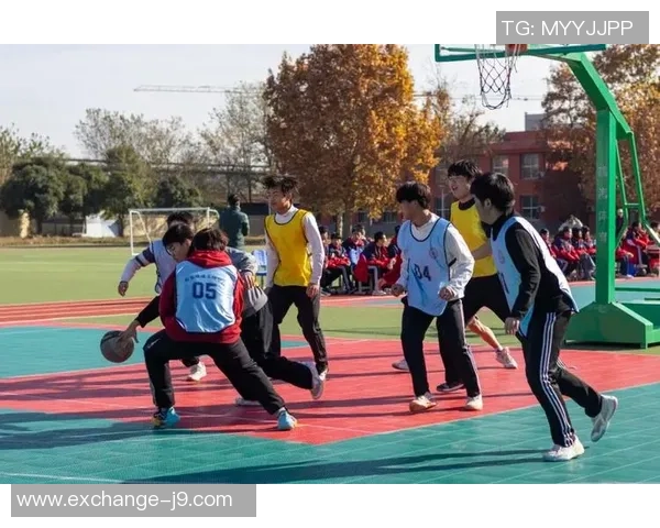 激情四溢的篮球赛之歌让我们一起为梦想呐喊与拼搏