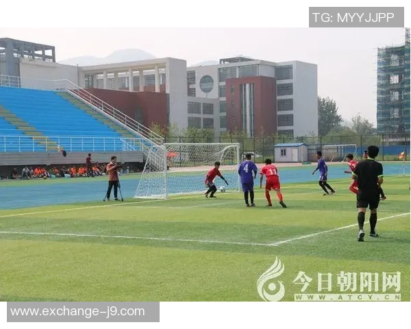 足球十件套全方位提升你的球技与比赛体验的必备装备指南