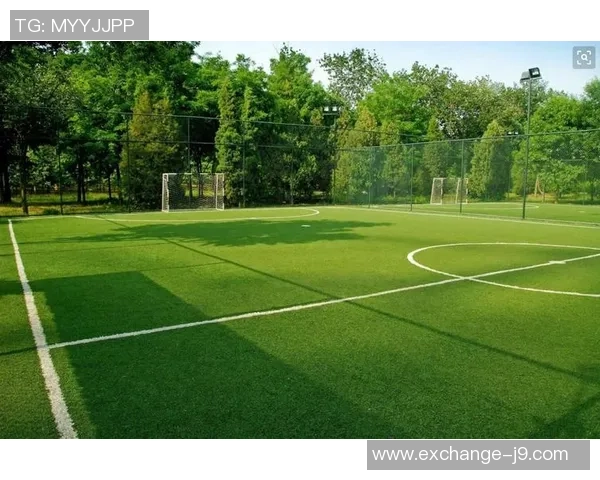 足球比赛场地长度的标准与影响因素分析及其对比赛的影响